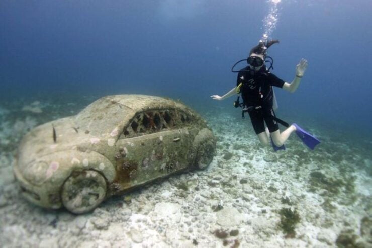 Isla Mujeres: 2-Tank Dive for Certified Divers - Experience Highlights