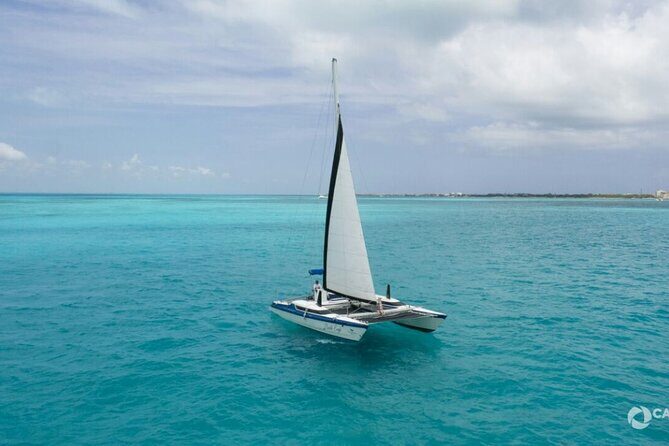 Isla Mujeres Basic Catamaran Tour with Snorkeling and Open Bar - An In-Depth Look at the Tour Experience