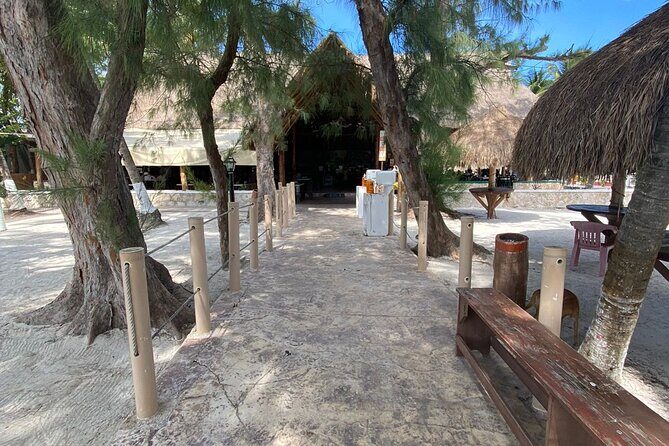 Isla Mujeres Basic Catamaran Tour with Snorkeling and Open Bar - The Sum Up: Who Will Love This Tour?