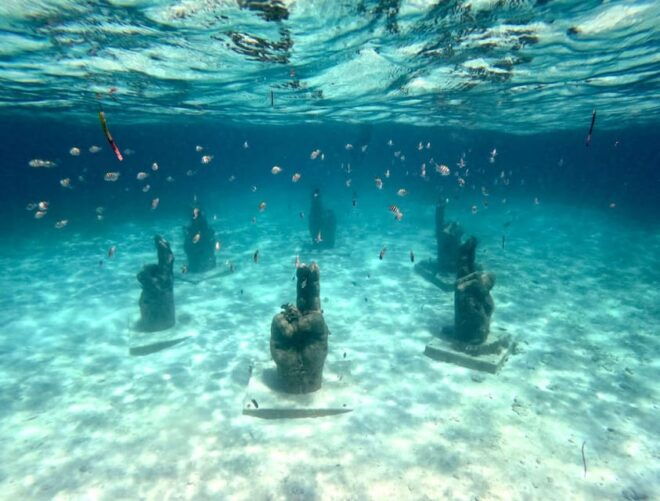 Isla Mujeres by Catamaran - Customer Feedback