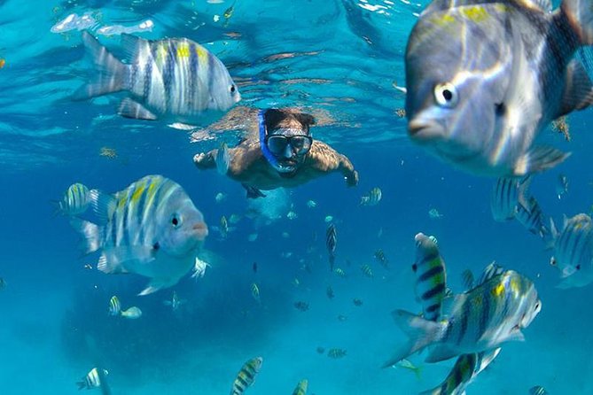 Isla Mujeres Catamaran Adventure All Inclusive From Cancun - Meeting Point and Departure Location