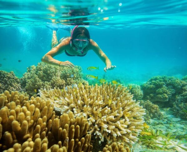 Isla Mujeres: Catamaran, Snorkeling, Open Bar and Buffet - Frequently Asked Questions