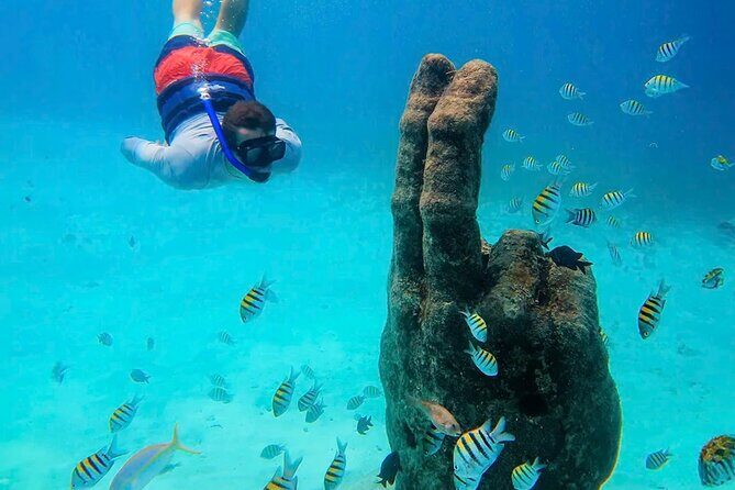 Isla Mujeres Catamaran Tour - Introduction: What’s This Tour All About?