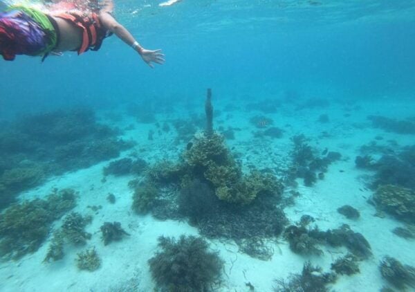 Isla Mujeres: Catamaran Tour, Snorkeling, Buffet, and Open Bar - Frequently Asked Questions