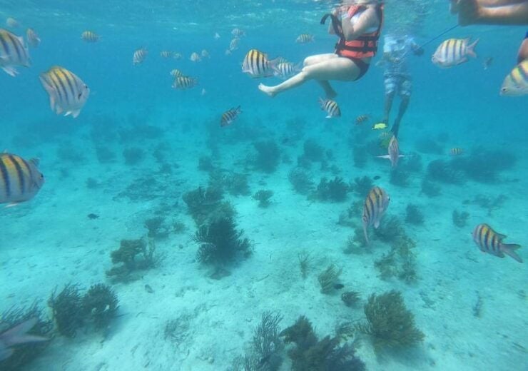 Isla Mujeres: Catamaran Tour With Snorkel, Buffet and Drinks - Itinerary Highlights