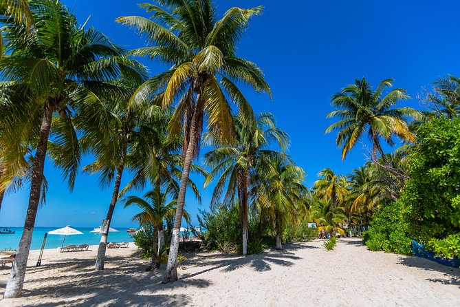Isla Mujeres Catamaran With Snorkel, Open Bar & Buffet Lunch - The Sum Up