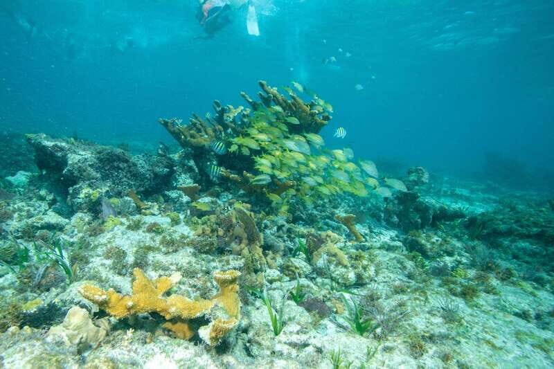 Isla Mujeres: Full Day Private Catamaran with Snorkeling - Introduction