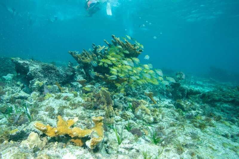 Isla Mujeres: Full Day Private Catamaran with Snorkeling - Practical Tips for Your Day