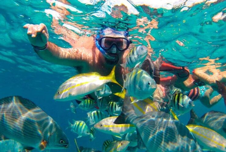 Isla Mujeres Full–Day Sailing Trip With Lunch and Open Bar - Pickup Locations and Availability