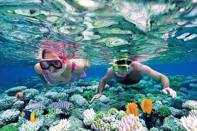 Isla Mujeres Full-Day Tour from Cancun with Lunch - Final Thoughts: Why Choose This Tour?