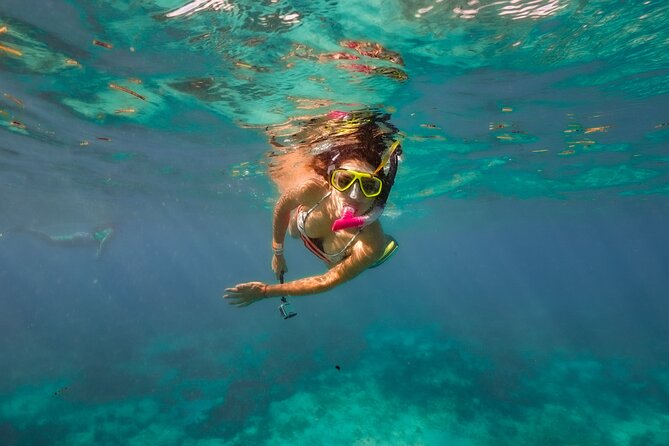 Isla Mujeres Island and Snorkeling Tour - Snorkeling Experience