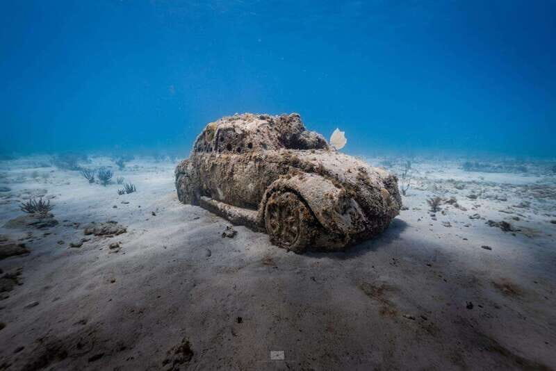 Isla Mujeres: MUSA and the Manchones Reef: 2 Tank Dive Tour - The Experience: What to Expect on the Tour  