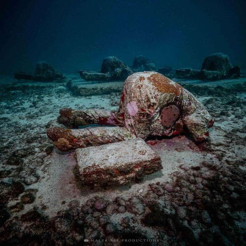 Isla Mujeres: MUSA and the Manchones Reef: 2 Tank Dive Tour - The Pros and Cons of the Tour  