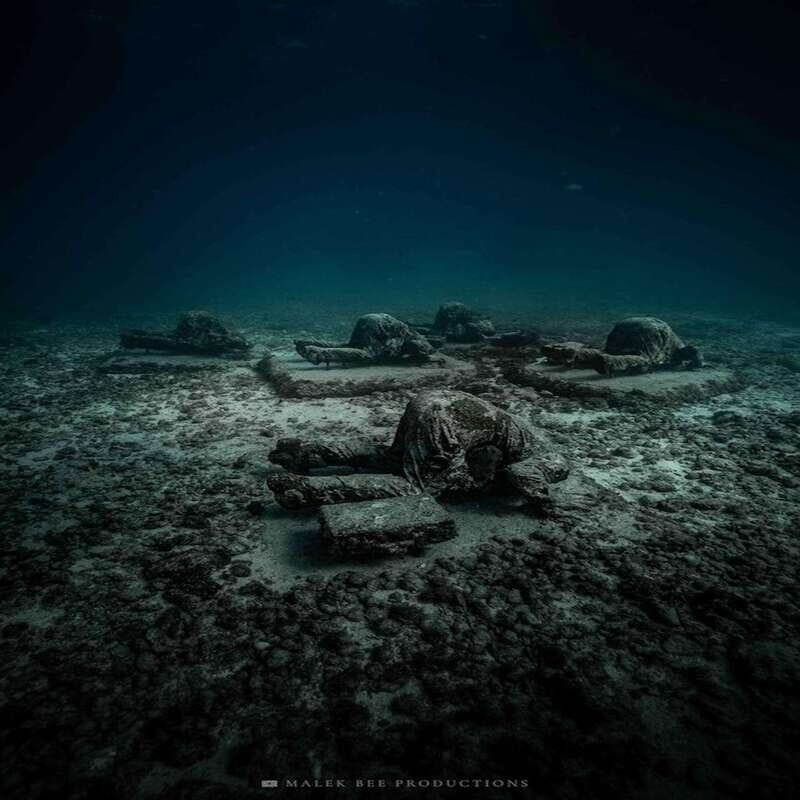 Isla Mujeres: MUSA and the Manchones Reef: 2 Tank Dive Tour - Final Thoughts  