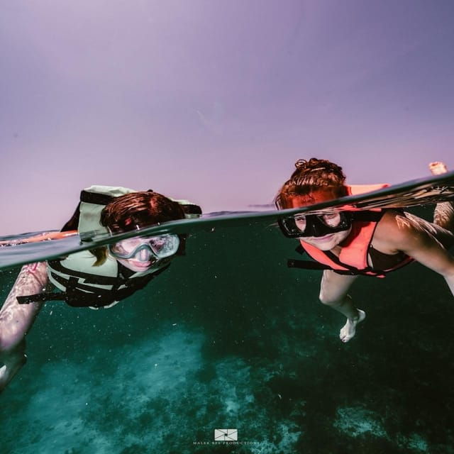 Isla Mujeres - MUSA and the Manchones Reef - Snorkel - Whats Included