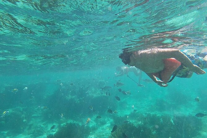 Isla Mujeres MUSA Snorkeling Experience - Underwater Exploration