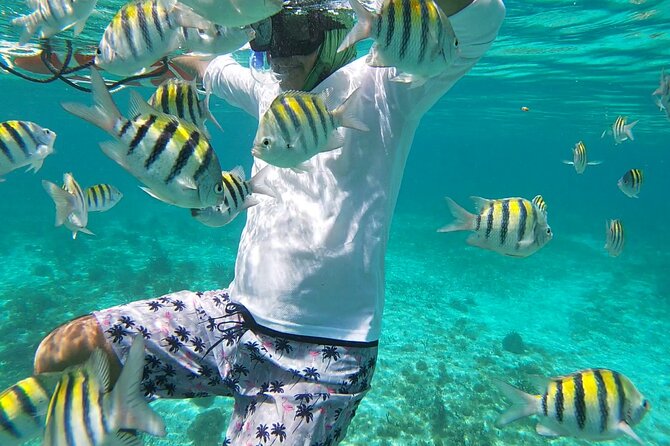 Isla Mujeres MUSA Snorkeling Experience - Snorkeling Gear Assistance
