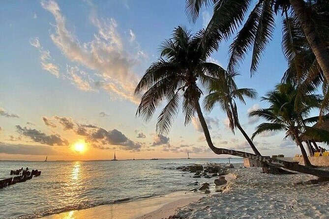 Isla Mujeres party on board! Catamaran,Lagoon,Snorkel & Downtown - Who Is This Tour Best For?