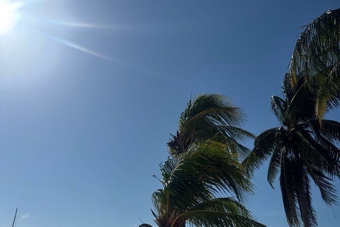 Isla Mujeres Plus Tour with Snorkeling Buffet and Open Bar - Practical Details & Tips