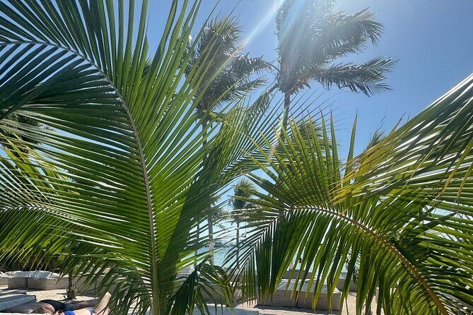 Isla Mujeres Plus Tour with Snorkeling Buffet and Open Bar - FAQ