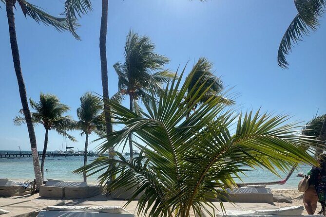Isla Mujeres Plus Tour with Snorkeling Buffet and Open Bar - Final Verdict