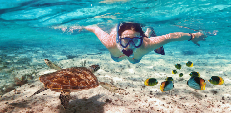 Isla Mujeres: Premium All Inclusive Catamaran Yacht - Itinerary and Activities