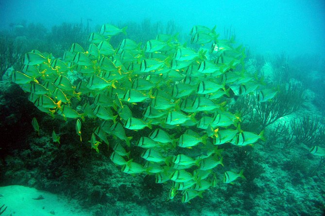 Isla Mujeres Private Dream Getaway - Common Questions