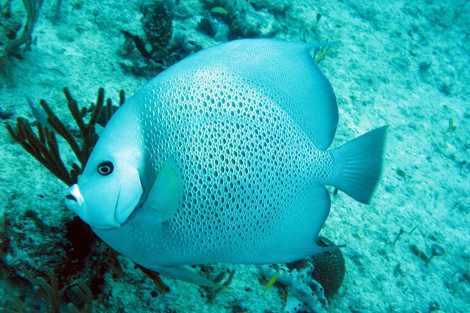 Isla Mujeres Private Dream Getaway - Activities and Attractions on Isla Mujeres