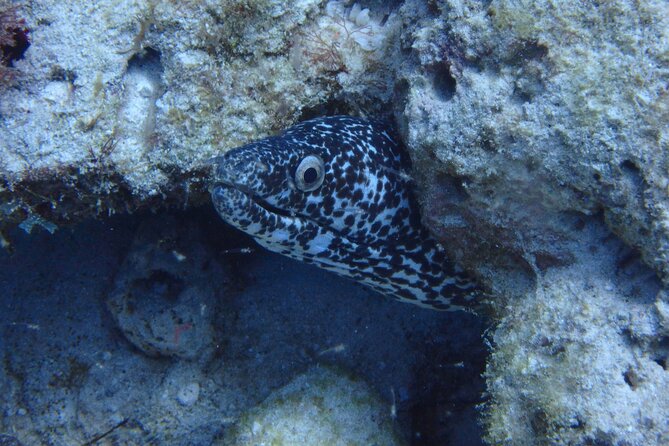 Isla Mujeres SCUBA Certification Course With Equipment - Equipment Provided