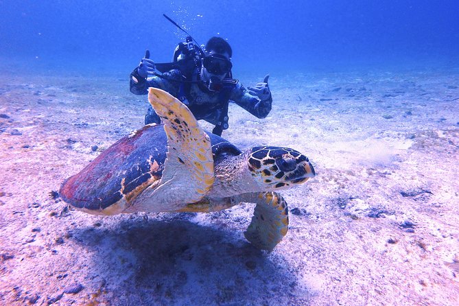 Isla Mujeres SCUBA Certification Course With Equipment - How to Book