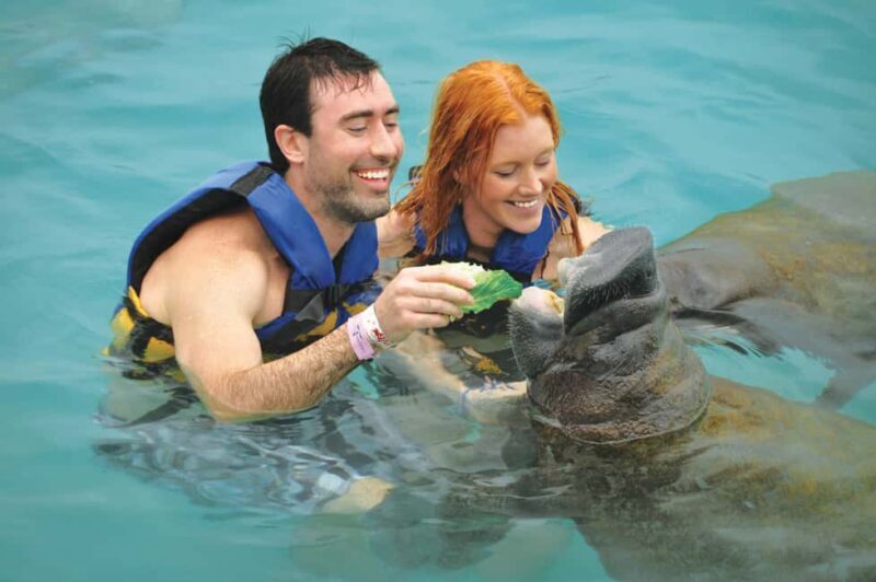 Isla Mujeres: Sea Lion & Manatee Interaction with Buffet - Who Is This Tour Best For?