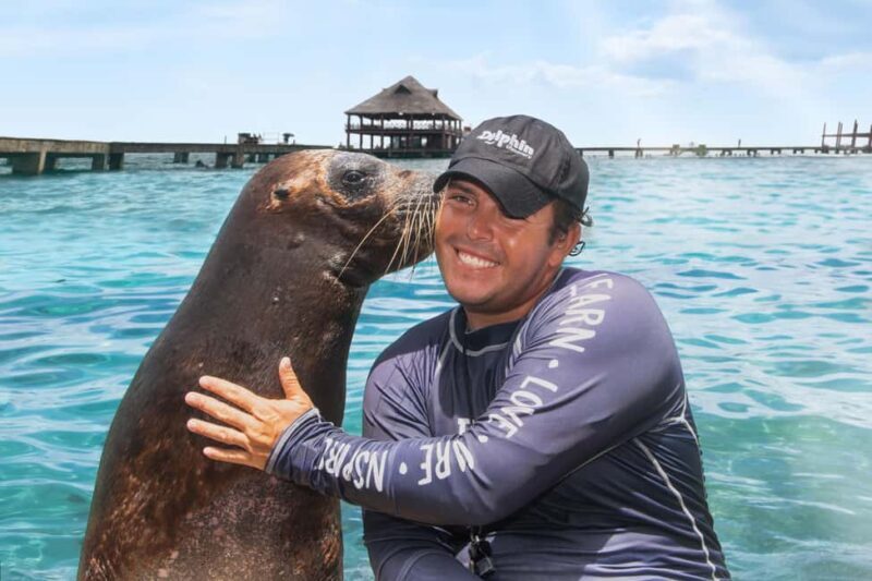 Isla Mujeres: Sea Lion & Manatee Interaction with Buffet - The Sum Up