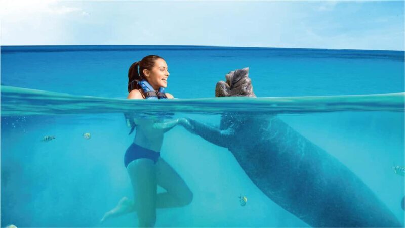 Isla Mujeres: Sea Lion & Manatee Interaction with Buffet - FAQ