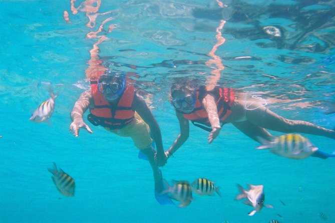 Isla Mujeres Small-Group Catamaran Tour From Cancun  - Playa Del Carmen - Reviews