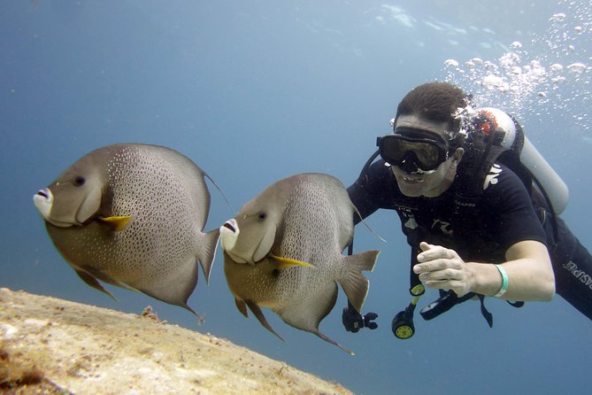 Isla Mujeres Small-Group MUSA Scuba Dive - Enjoy Personalized Attention in a Small Group