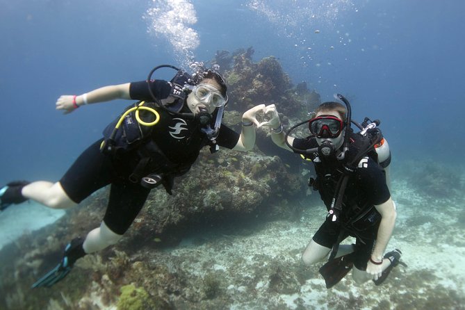 Isla Mujeres Small-Group MUSA Scuba Dive - Know the Meeting Point and Pickup Details