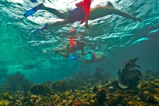 Isla Mujeres Snorkel, Lunch & Pick up From Cancun to P.Morelos - Whats Included
