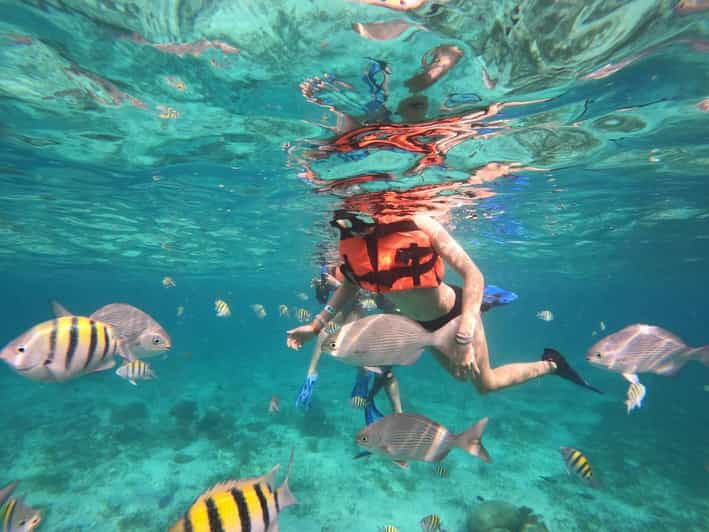 Isla Mujeres: Snorkeling Adventure at the Underwater Museum - Good To Know