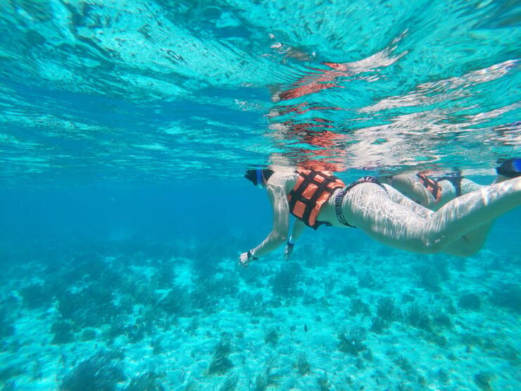 Isla Mujeres: Snorkeling Adventure at the Underwater Museum - Reef Exploration