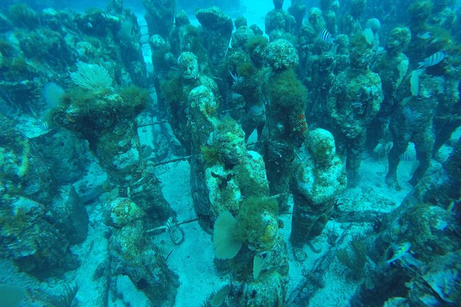 Isla Mujeres Snorkeling Tour Adventure - Snorkeling Experience