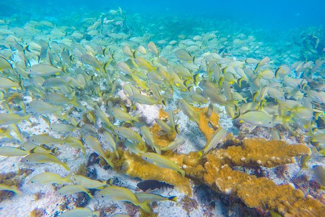Isla Mujeres Snorkeling Tour Adventure - Directions