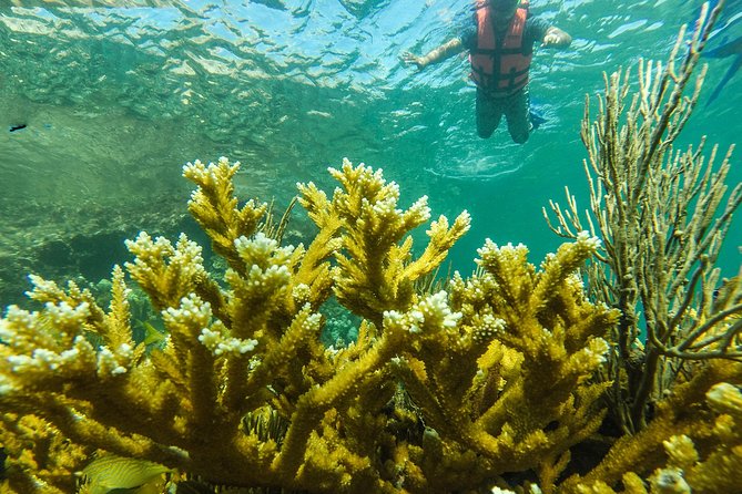 Isla Mujeres Snorkeling Tour Adventure - Additional Information