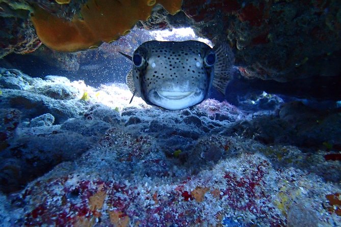 Isla Mujeres Snorkeling Tour - Directions