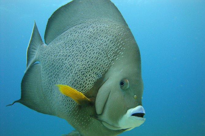 Isla Mujeres Snorkeling Tour - The Sum Up