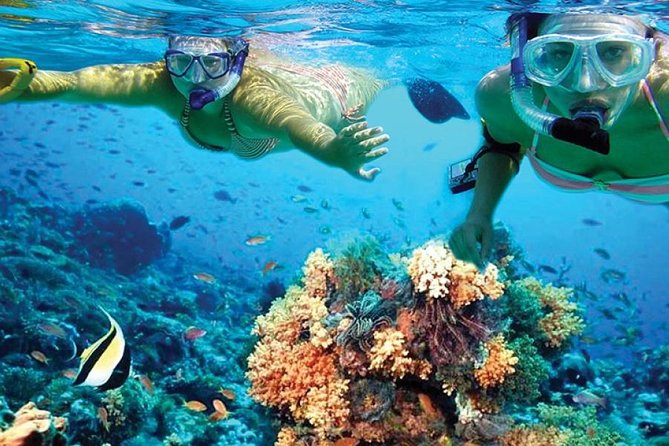 Isla Mujeres Tour in a Catamaran With Snorkel, Open Bar, Lunch and Beach Club. - Additional Information