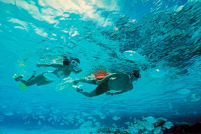 Isla Mujeres Tour In Catamaran! From Cancun - The Sum Up