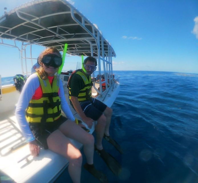 Isla Mujeres: Whale Shark Tour - Experience Highlights