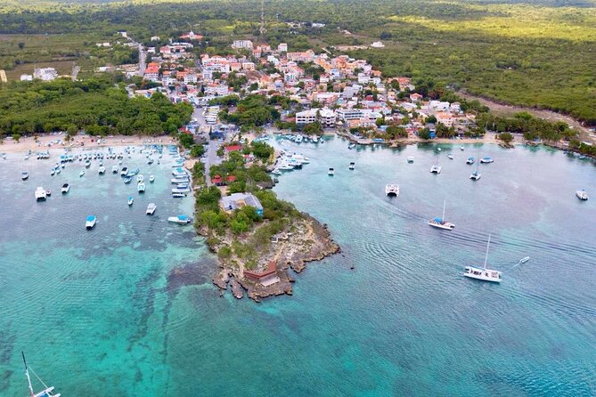 Isla Saona Daily Experience From Punta Cana - Isla Saona Tour Overview