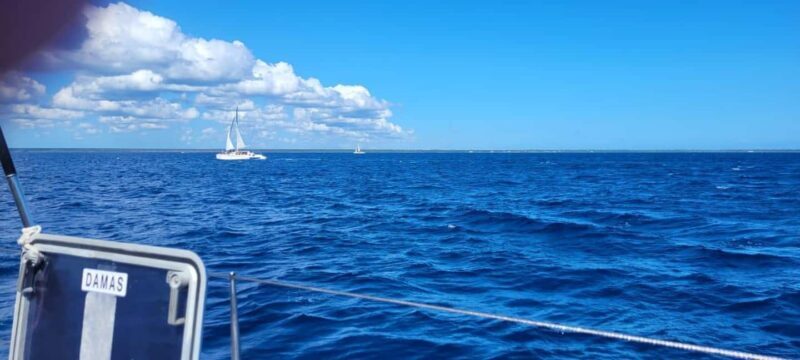 Isla Saona Day Trip From Santo Domingo with Lunch - A Deep Dive into the Isla Saona Day Trip Experience