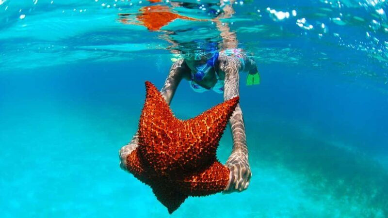 isla saona día completo - Savoring Dominican Flavors: The Buffet Lunch